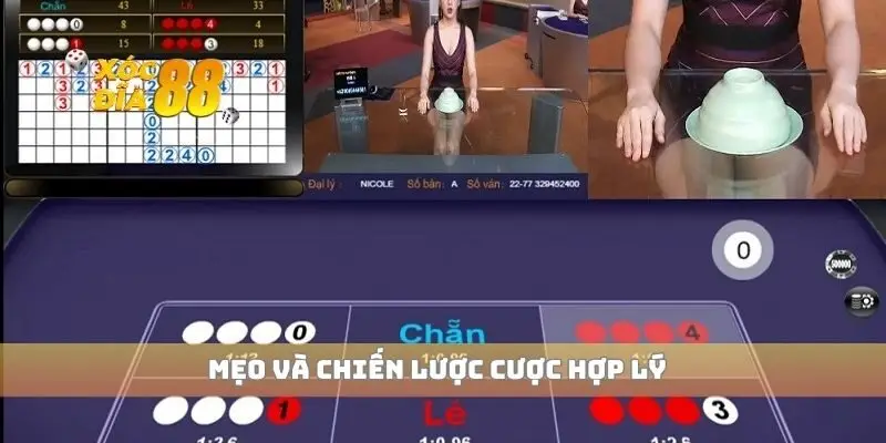 Mẹo và chiến lược cược hợp lý